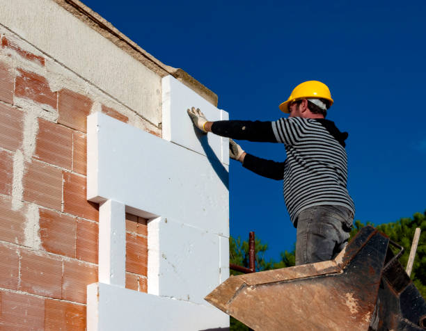 Best Blown-in Insulation  in Murphy, TX