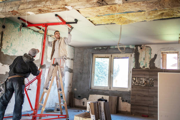 Best Insulation Repair Services  in Murphy, TX