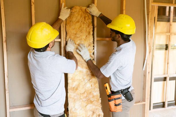 Best Energy-efficient Insulation  in Murphy, TX