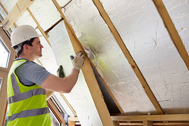 Best Blown-in Insulation  in Murphy, TX