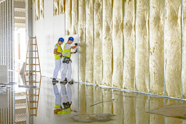 Best Affordable Insulation Services  in Murphy, TX